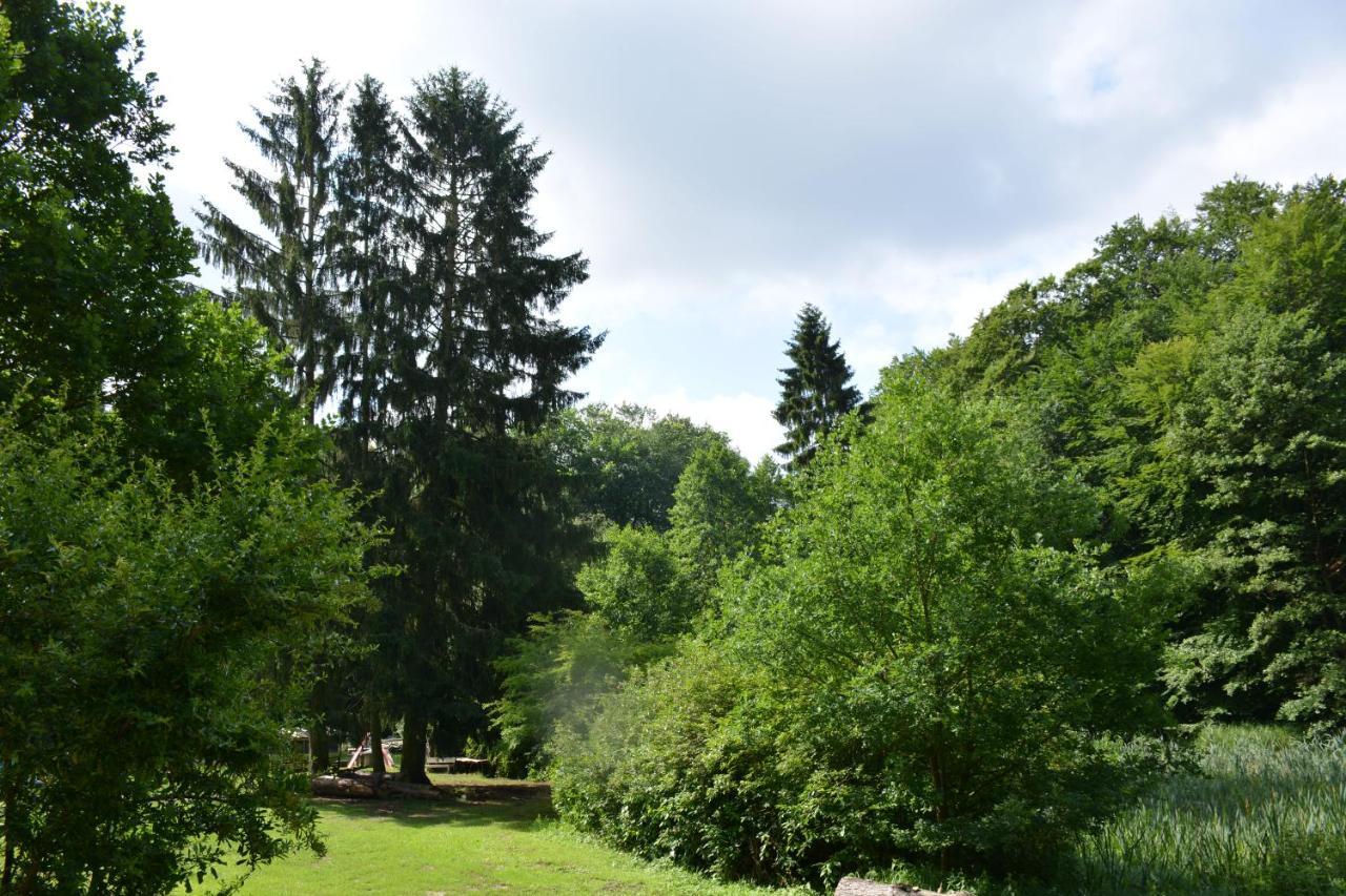 Bungalows Am Waldessaum Bei Hohenzieritz Εξωτερικό φωτογραφία