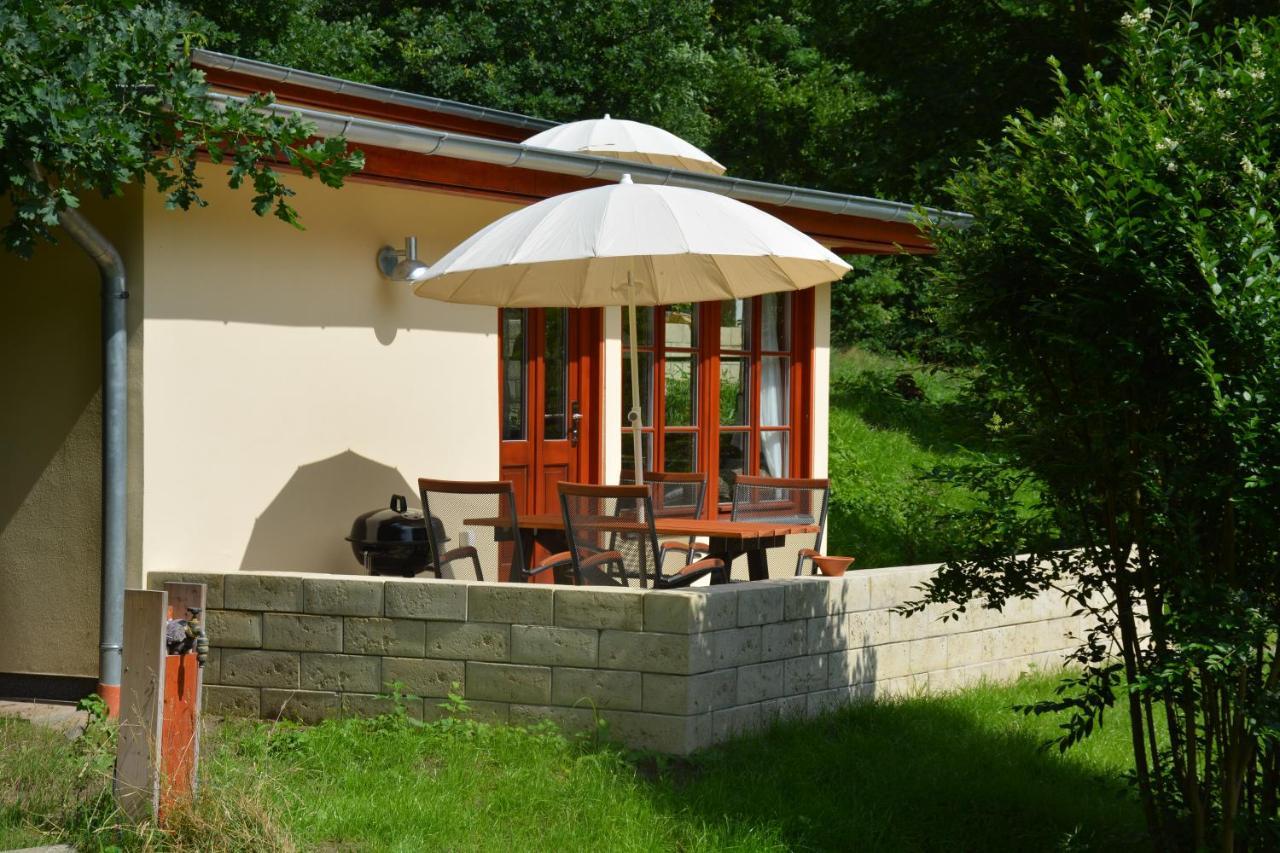 Bungalows Am Waldessaum Bei Hohenzieritz Εξωτερικό φωτογραφία